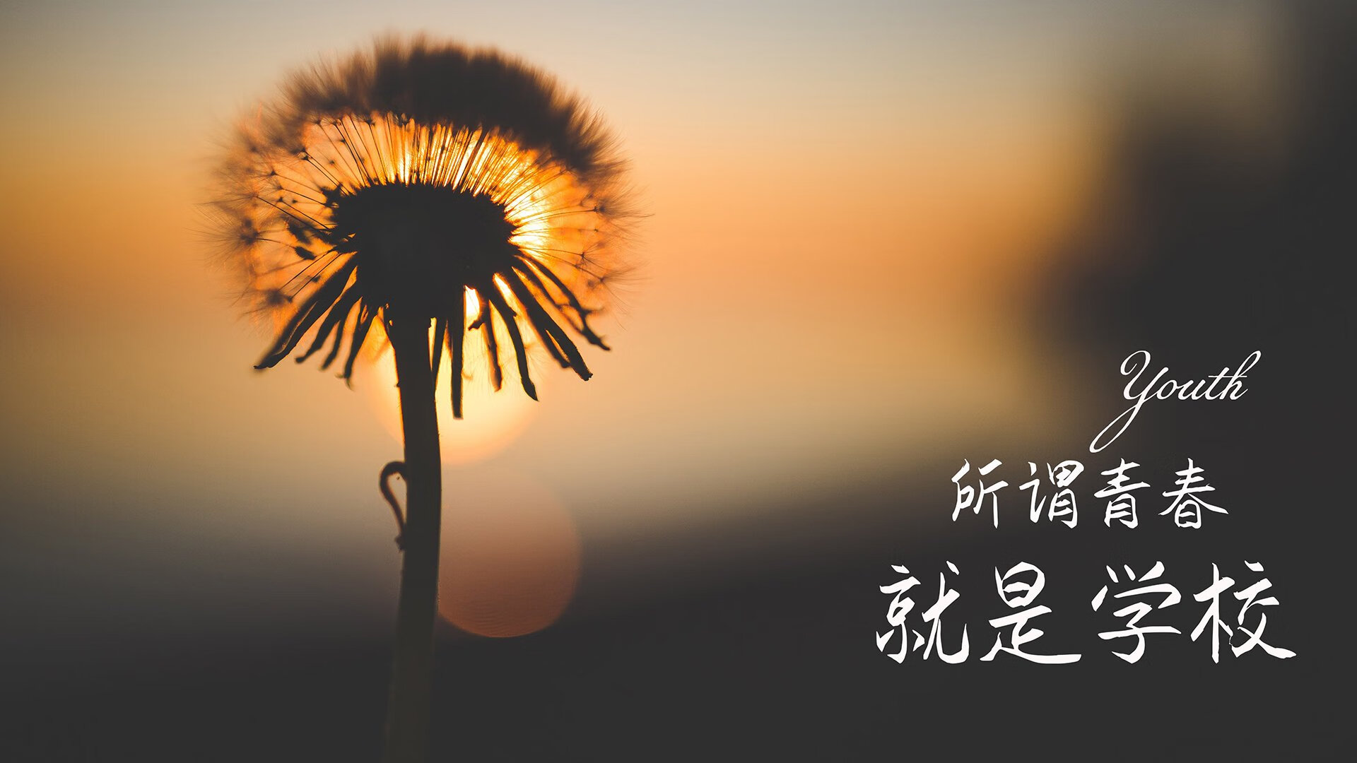 九游娱乐APP-青训产业链“数字+智能”在行业内持续升级，行业迎来高质量大发展新机遇