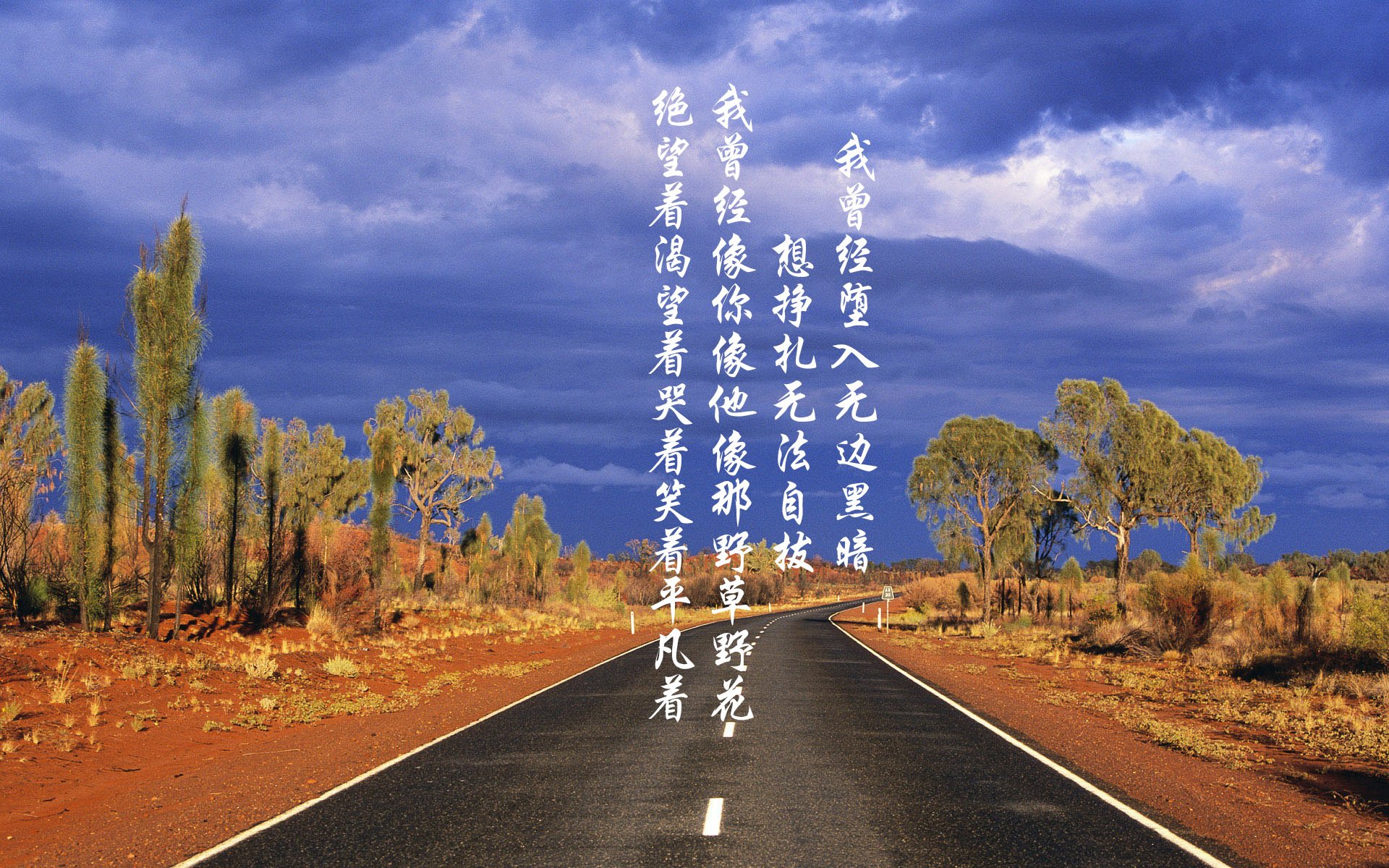 JiuyouAPP下载-巴西队风雨中胜利 南美足球再现巅峰，巴西足球队视频