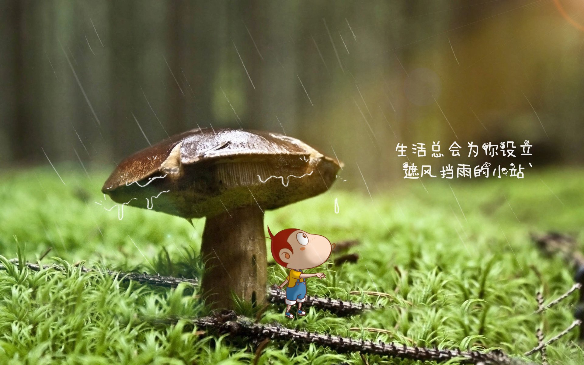 欧洲杯强对战，球队备战冲刺胜利，欧洲欧洲杯