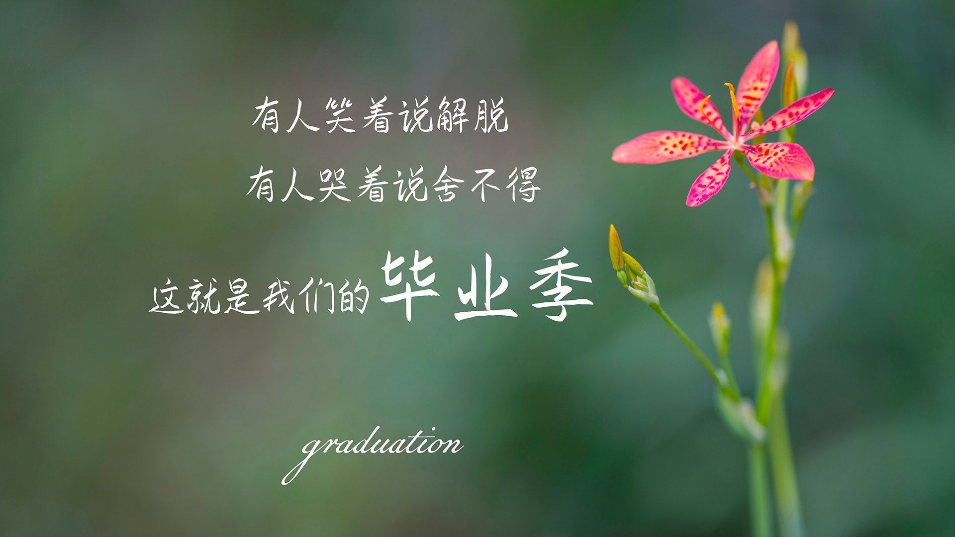 职业俱乐部推动退役球员导师计划协助青年成长,职业选手退役当教练