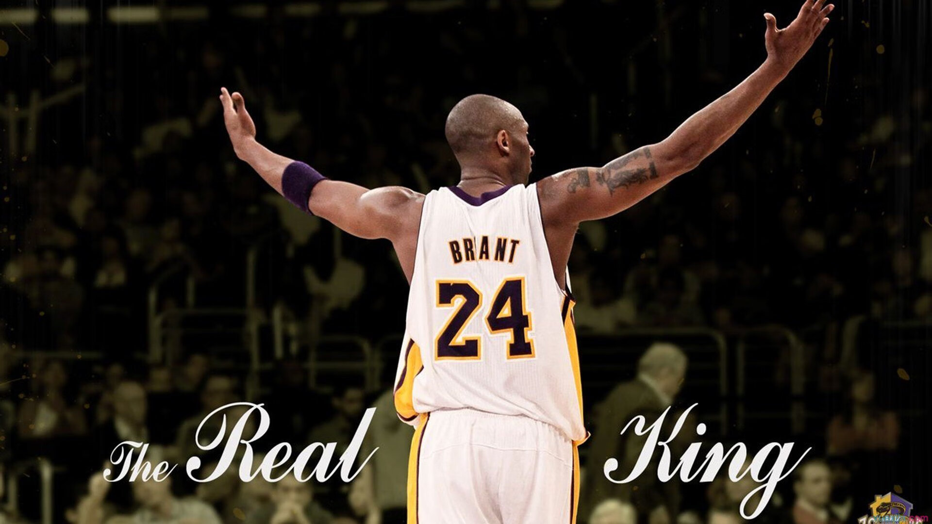 赛场“坑”场：奇怪的障碍带来新考验，赛场比赛